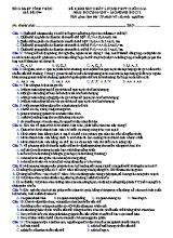 Đề thi thử THPT quốc gia Sinh học 12 - Mã đề 094 - Năm học 2016-2017 - Sở GD & ĐT Vĩnh Phúc